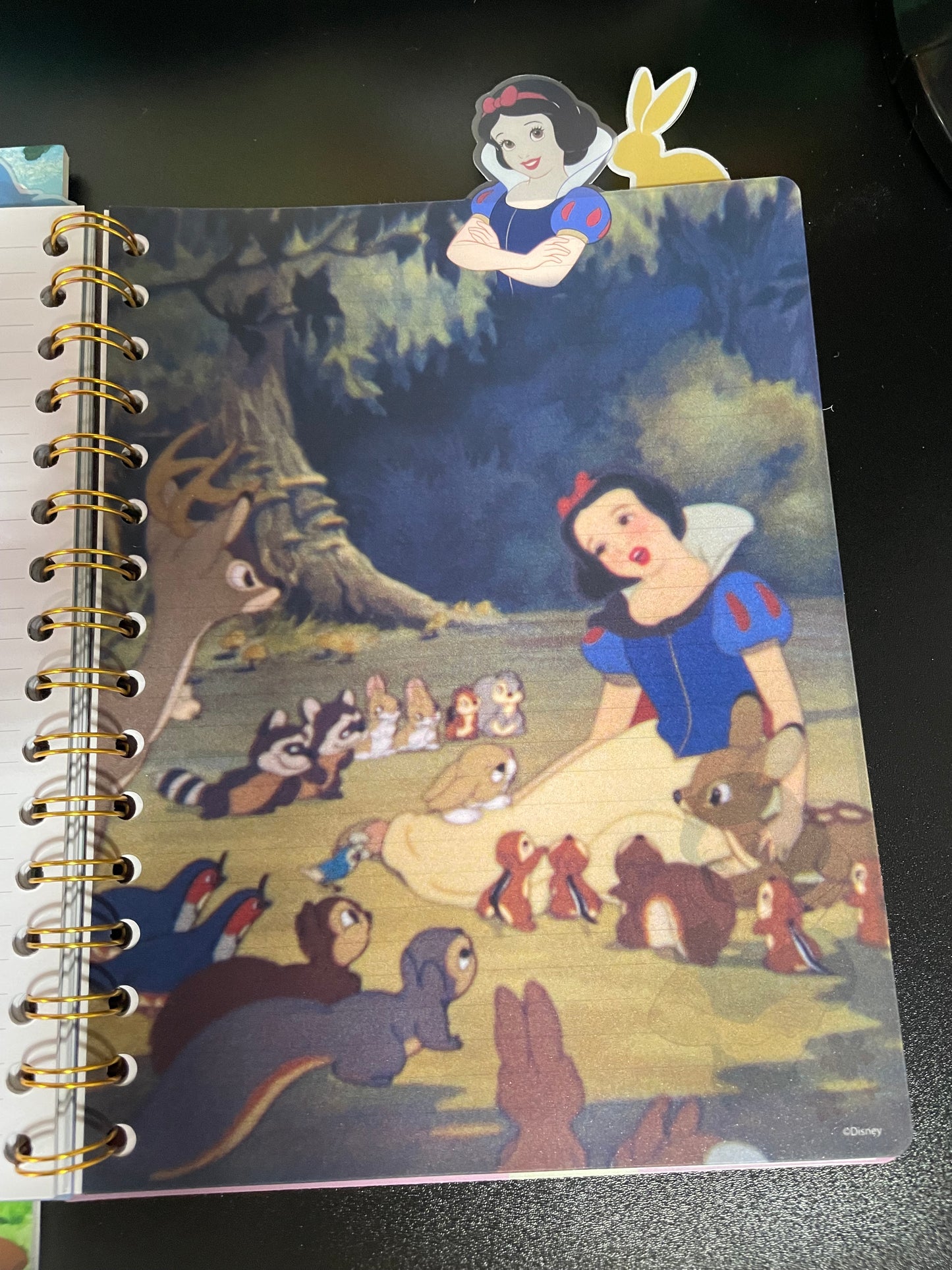 Snow White Bundle