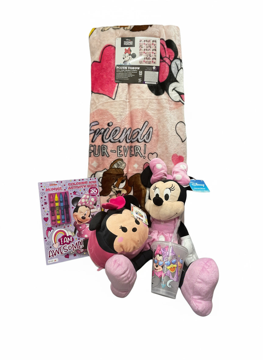 Minnie Mouse gift bundle